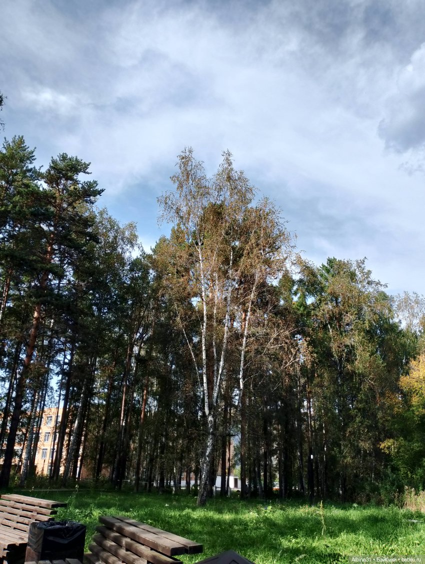 Прогулка по Дивногорску — Куклы Baboliy (Баболи