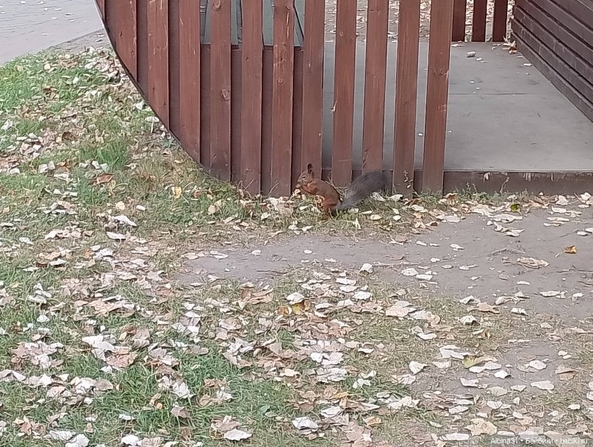 Городской сад — Прочие игровые куклы для девочек