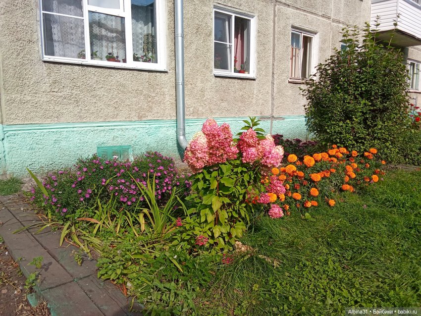 Прогулка по Дивногорску (2)