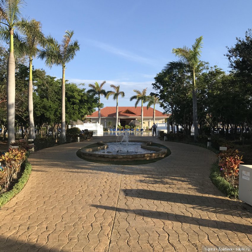 Путешествие Тома по Острову свободы! Вихтель вокруг света (фото 7)