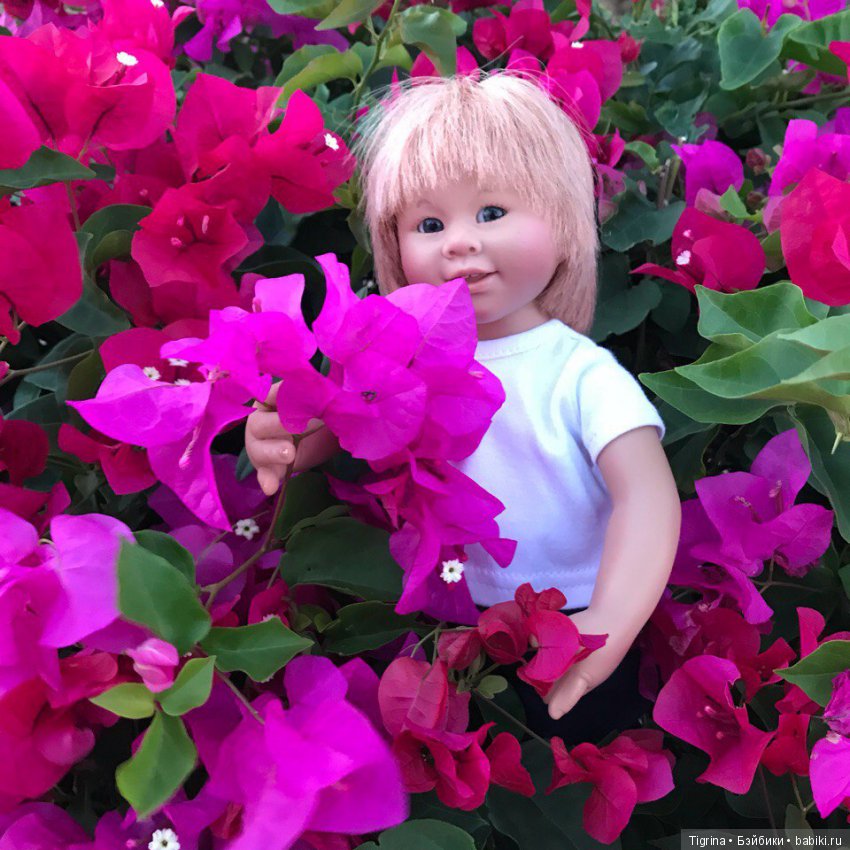 Путешествие Тома по Острову свободы! Вихтель вокруг света