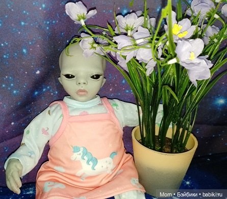 Хроники маленького мирка — Домашние коллекции кукол: фото собраний