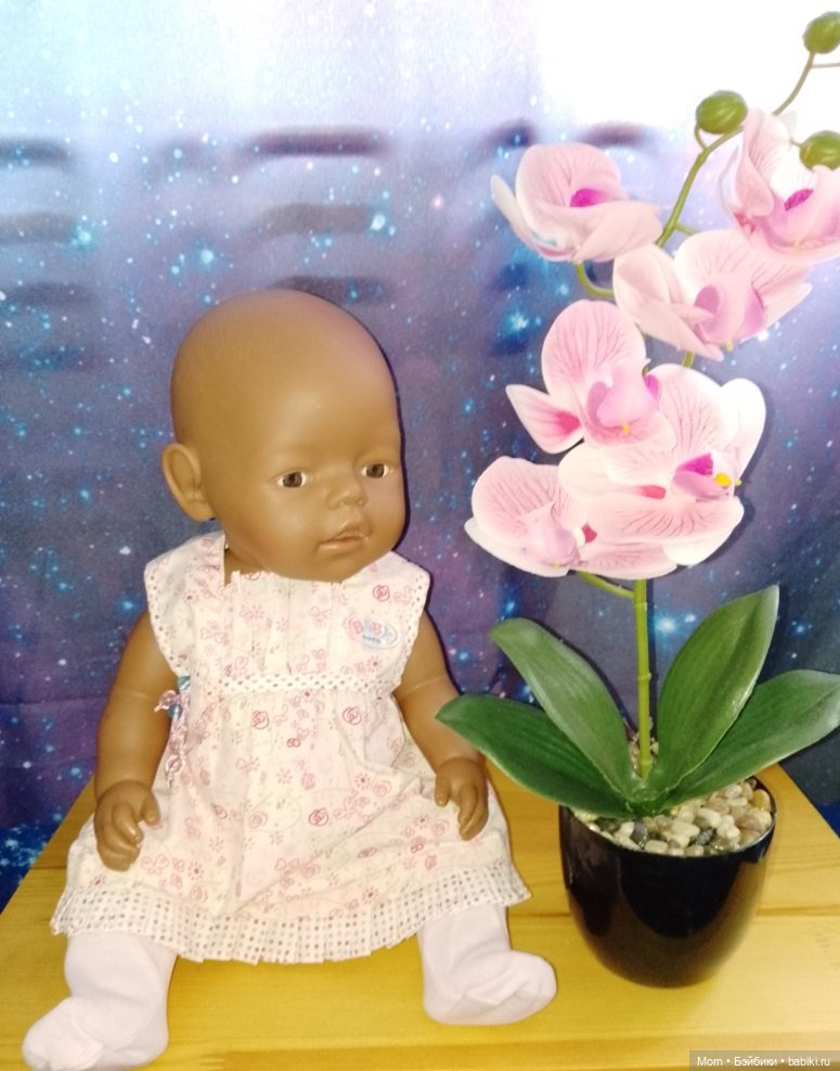 Новоприбывшие мулаточки Беби Бон и компания