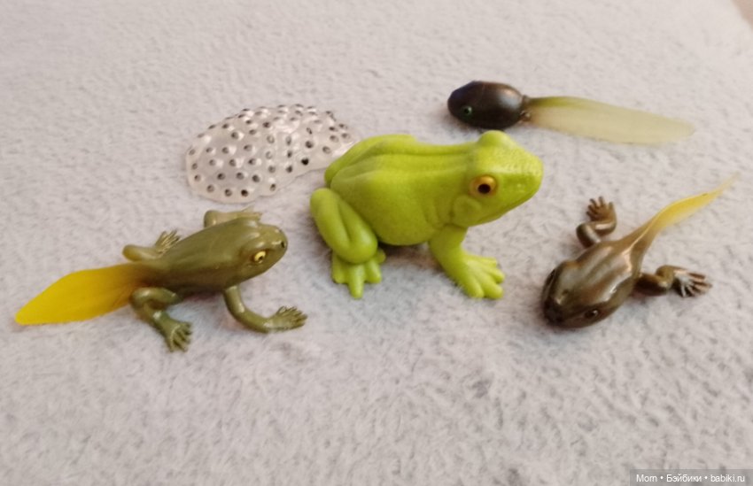 Лето, обновки, питомцы и реквизит