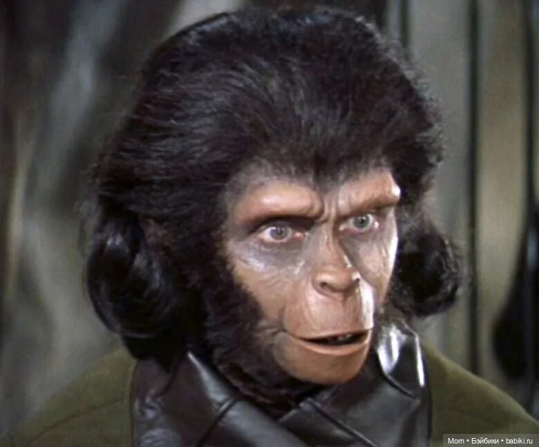 Зира, маленькая обезьянка | Бэйбики Зира, маленькая обезьянка (фото 2)