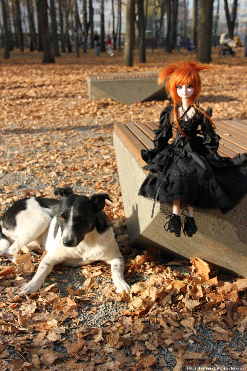 Свободный день и испорченное свидание (фото 6)