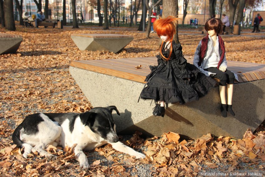 Свободный день и испорченное свидание (фото 8)