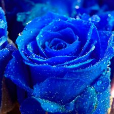 Элька.... или какой подарок делаете вы себе на день рождение мужа