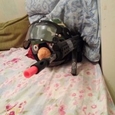 gotz дает трек-номер посылки?