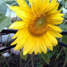 Помогите с ебеем, пожалуйста, кто там продаёт