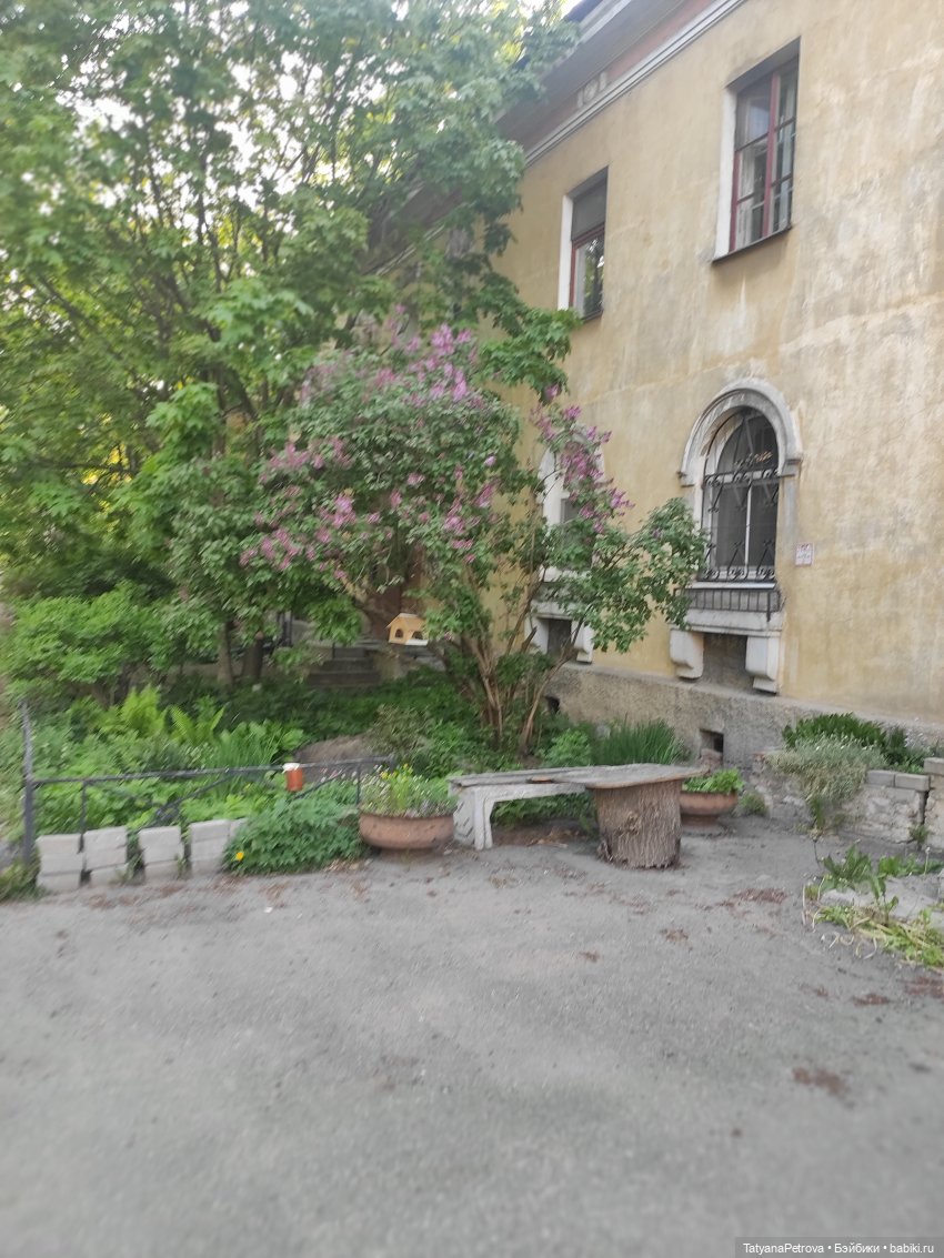 Саша, прогулка теплым вечером (фото 3)