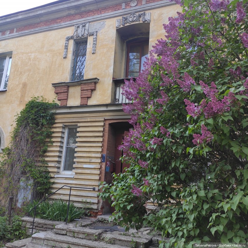 Саша, прогулка теплым вечером (фото 2)