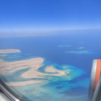 Из дождей в лето 🌞🌴