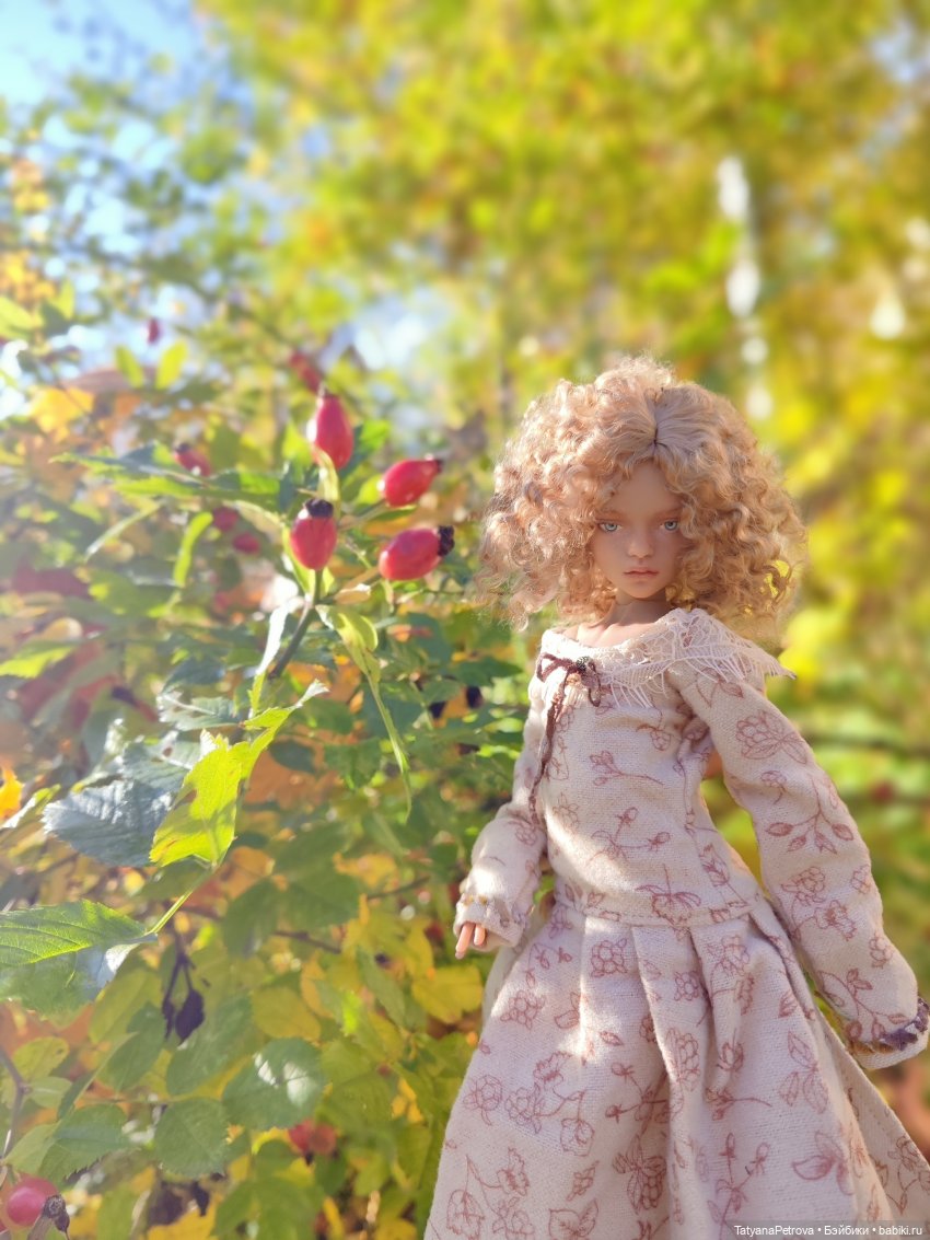 Оттенки осени для Иден — Авторские куклы BJD (БЖД) у нас дома: фото (фото 6)