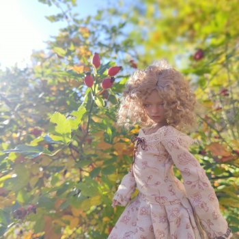 Оттенки осени для Иден