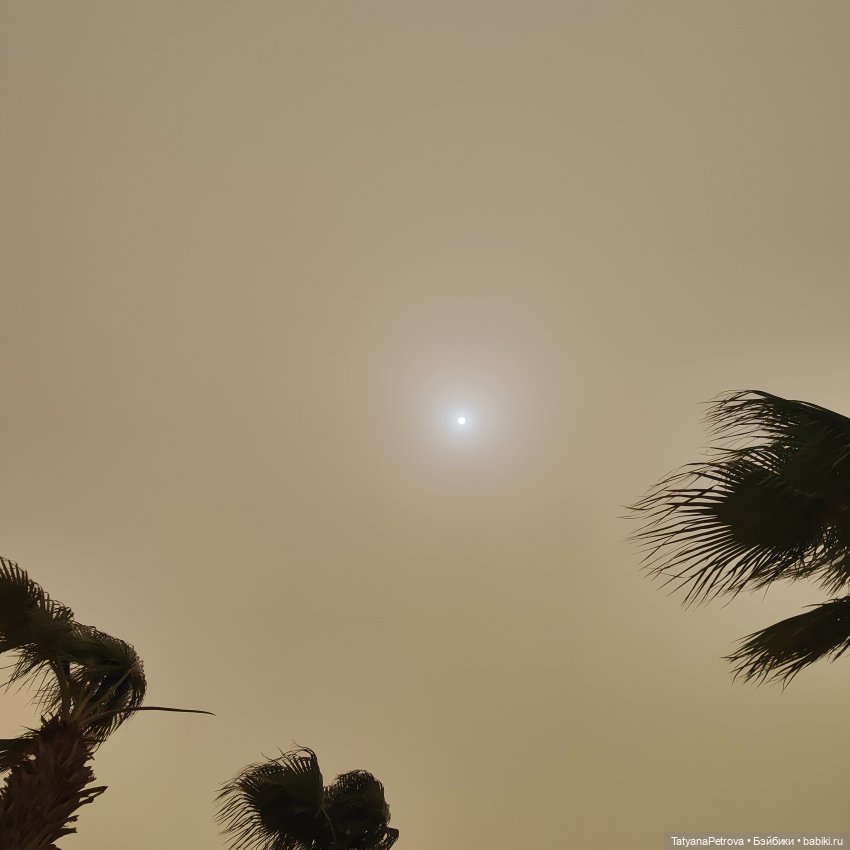 Лола в отпуске) — Авторские куклы BJD (БЖД) у нас дома: фото (фото 3)