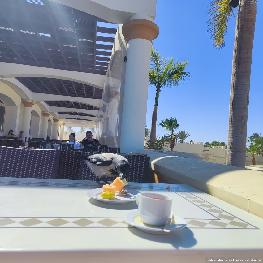 Лола в отпуске) — Авторские куклы BJD (БЖД) у нас дома: фото (фото 4)