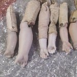 Антикварные руки для кукол на кожаных телах