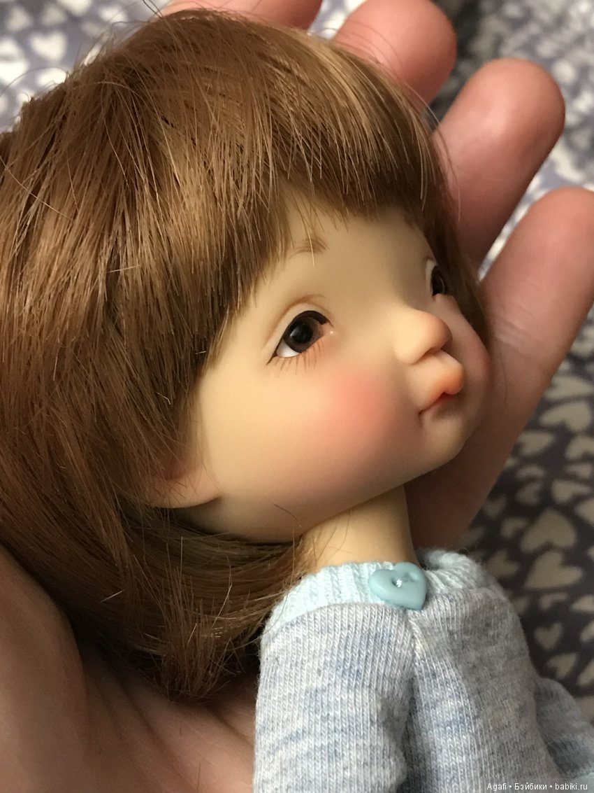 Никогда не говори никогда