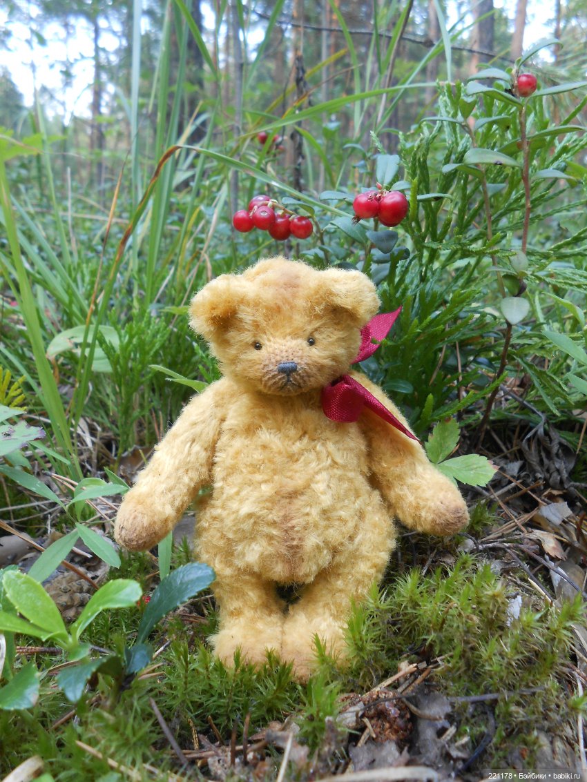 Наш приз - медвежонок Бен (фото 6)