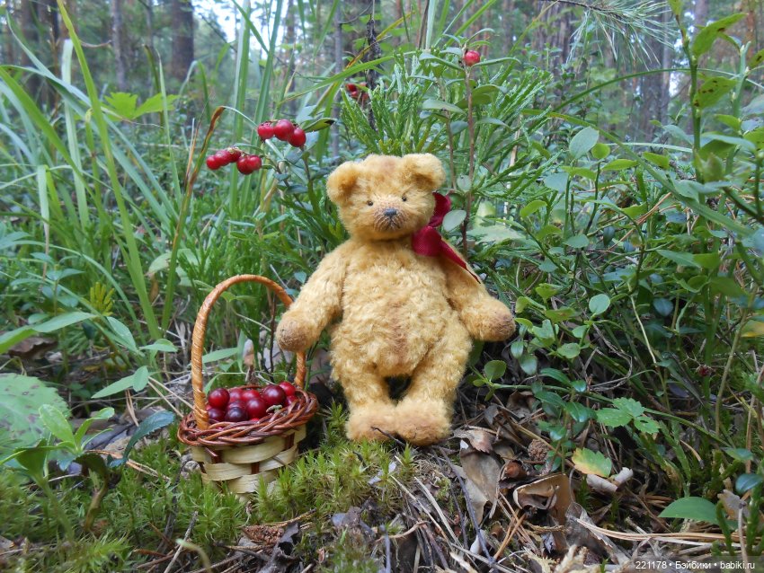 Наш приз - медвежонок Бен (фото 7)