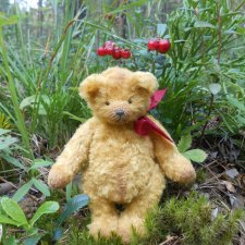 Наш приз - медвежонок Бен