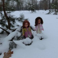 Вечерний лес