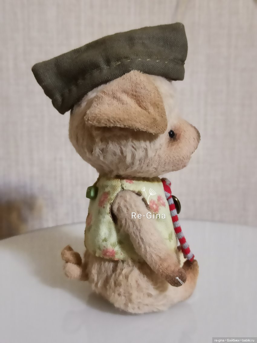 Приз ✿❀юным натуралисткам✿❀ Знакомьтесь - Хрюша