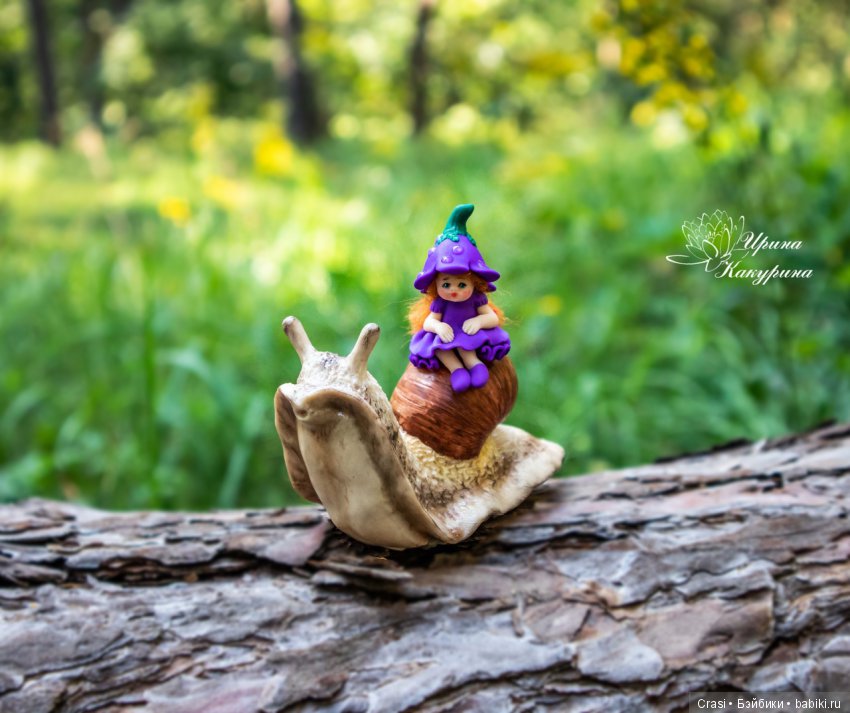 Акция одного дня — В мире животных: смешные фото питомцев и зверей