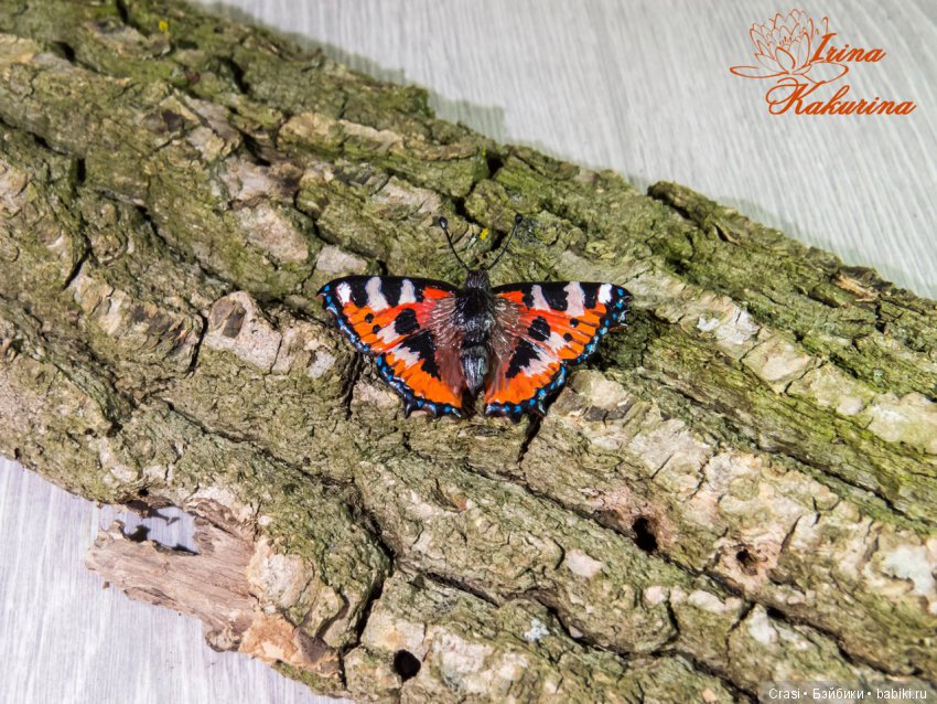 Броши бабочки — Лепка авторских игрушек и папье (фото 4)
