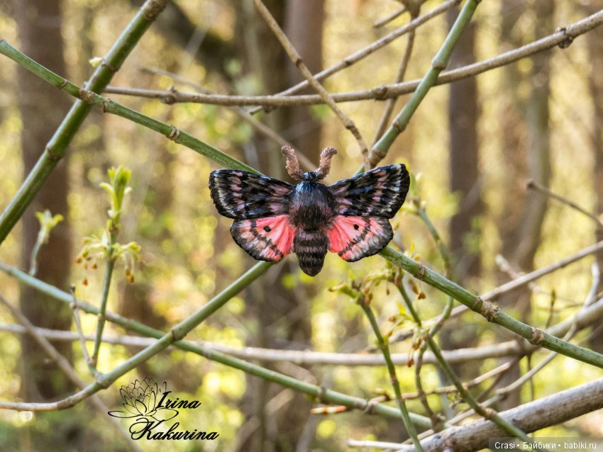 Броши бабочки для Вас и Ваших кукол (фото 5)