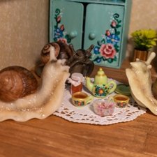 Захват домика улитками