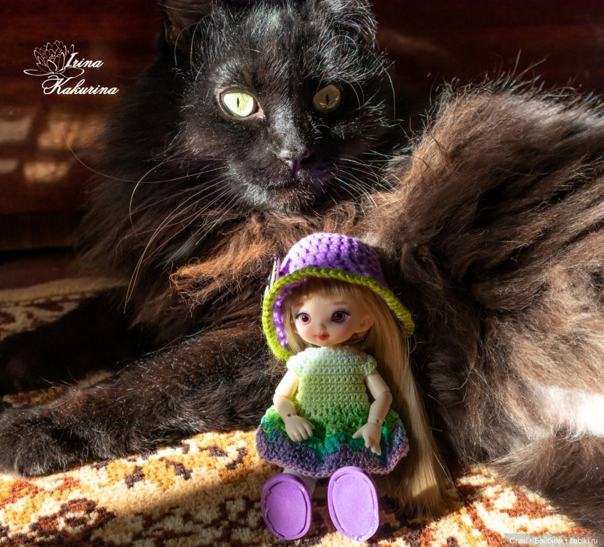 Как проходит Люсин день — Фотоистории с куклами BJD (БЖД): сериалы (фото 2)