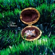 Миниатюрный тигрёнок в орешке