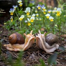 Послушные улиточки: