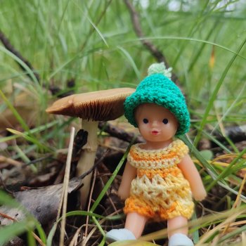 Жизнь пупсиков :)