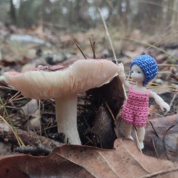 Крошка малышка в грибном лесу