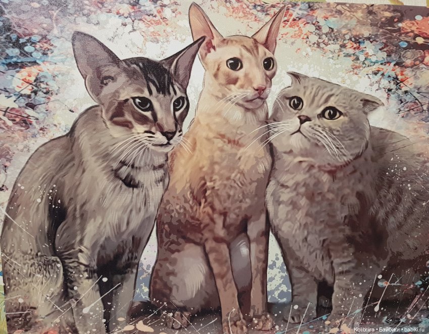 Год Кота или Кролика? Конечно Кота