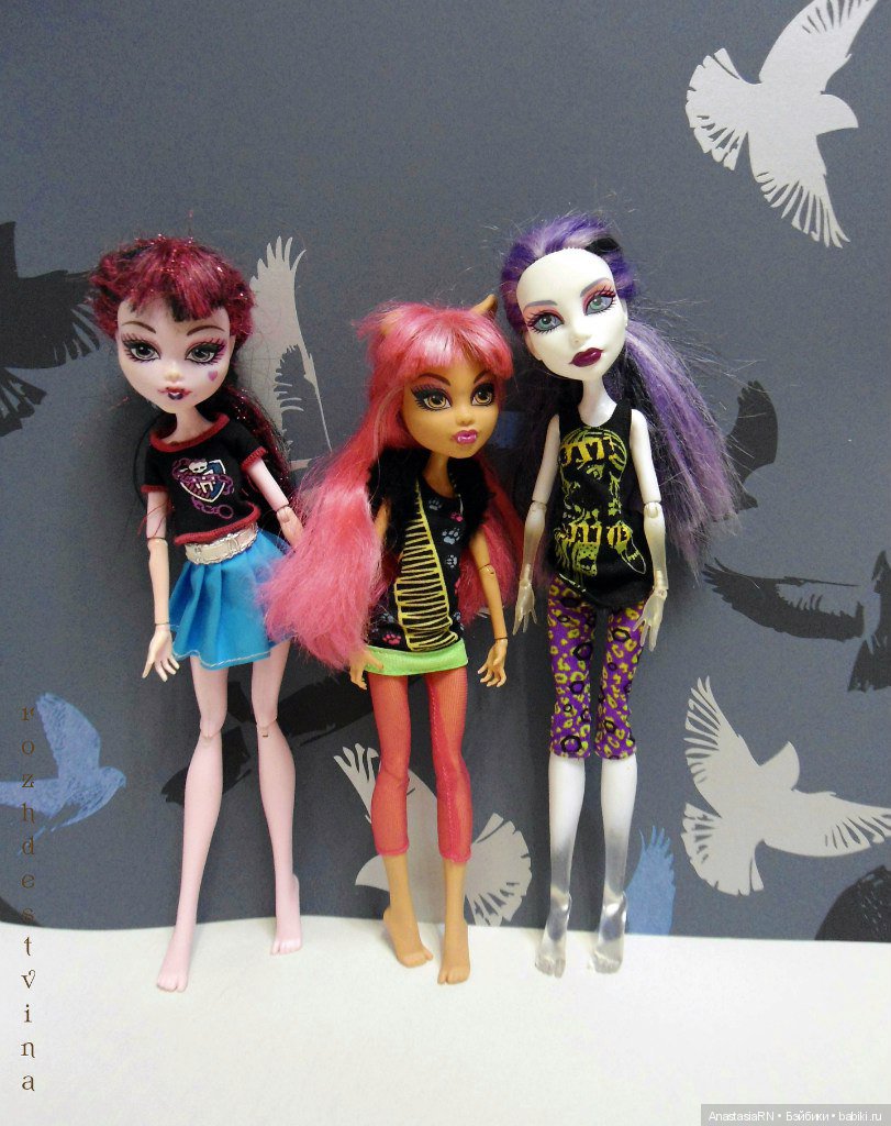 История трёх девчонок из Школы Монстров. Запись 1. Предисловие