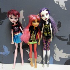 История трёх девчонок из Школы Монстров. Запись 1. Предисловие