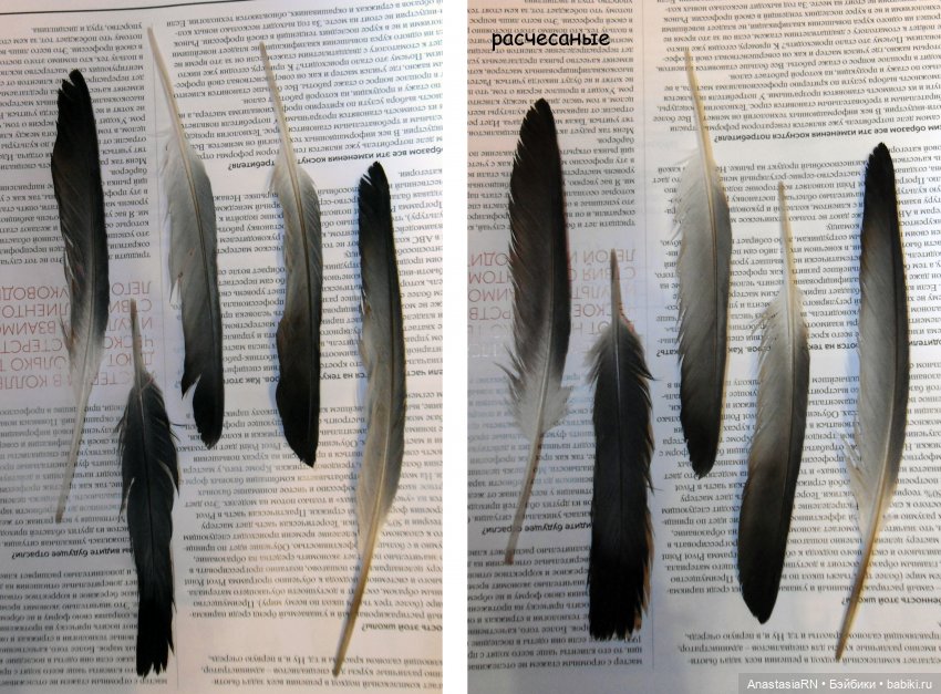 История трёх девчонок из Школы Монстров. Запись 4. Сильвера (Спектра) | Бэйбики История трёх девчонок из Школы Монстров. Запись 4. Сильвера (Спектра) (фото 7)