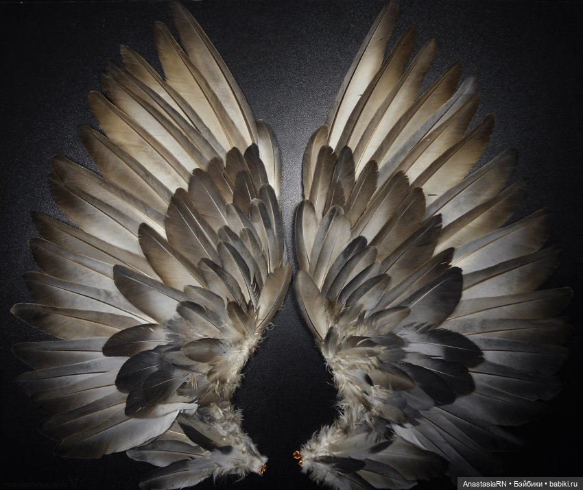 История трёх девчонок из Школы Монстров. Запись 4. Сильвера (Спектра) | Бэйбики История трёх девчонок из Школы Монстров. Запись 4. Сильвера (Спектра)