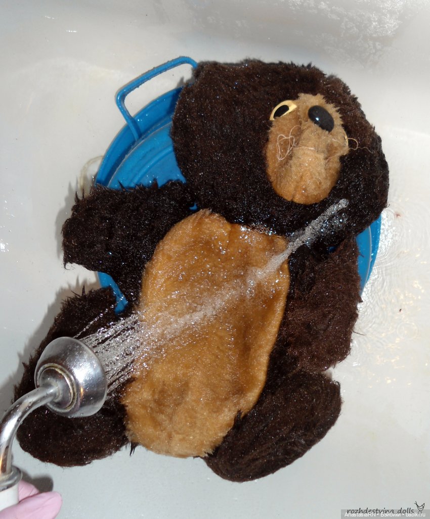 О том, как у меня Олимпийский Мишка гостил (фото 7)