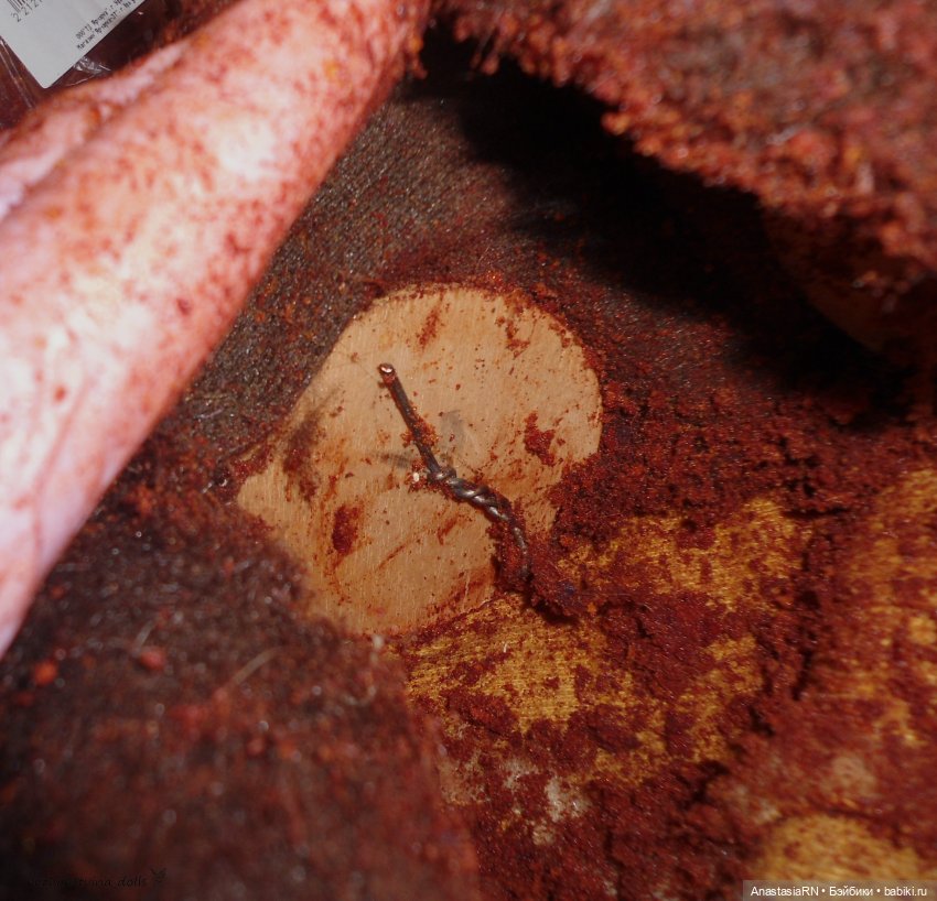 О том, как у меня Олимпийский Мишка гостил (фото 6)