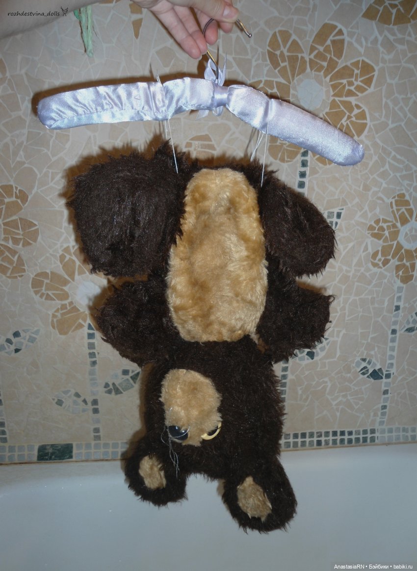 О том, как у меня Олимпийский Мишка гостил (фото 9)