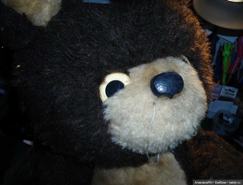 О том, как у меня Олимпийский Мишка гостил