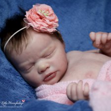 Прототип Ana by Bountiful Baby