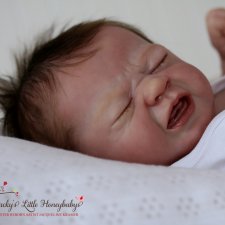 Мой прототип Эдвин разработан Elisa Маркса