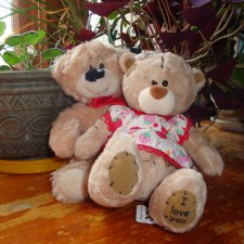 Влюбленные мишки