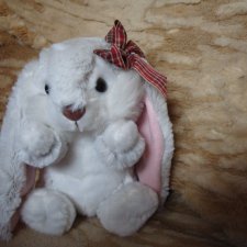 Очень милая крольчиха